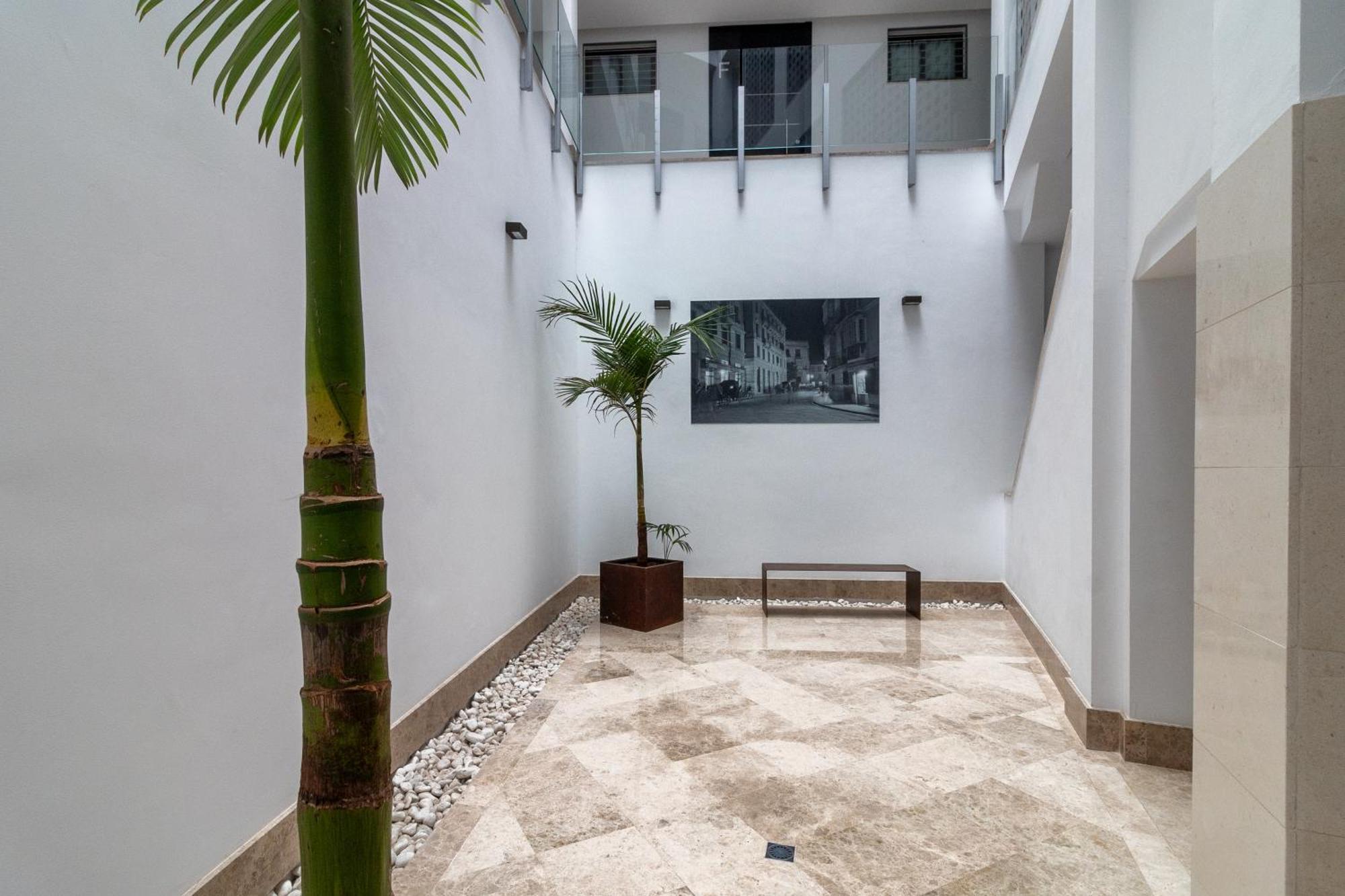 Nt Luxury Central Duplex With Terrace & Parking Málaga Exteriör bild